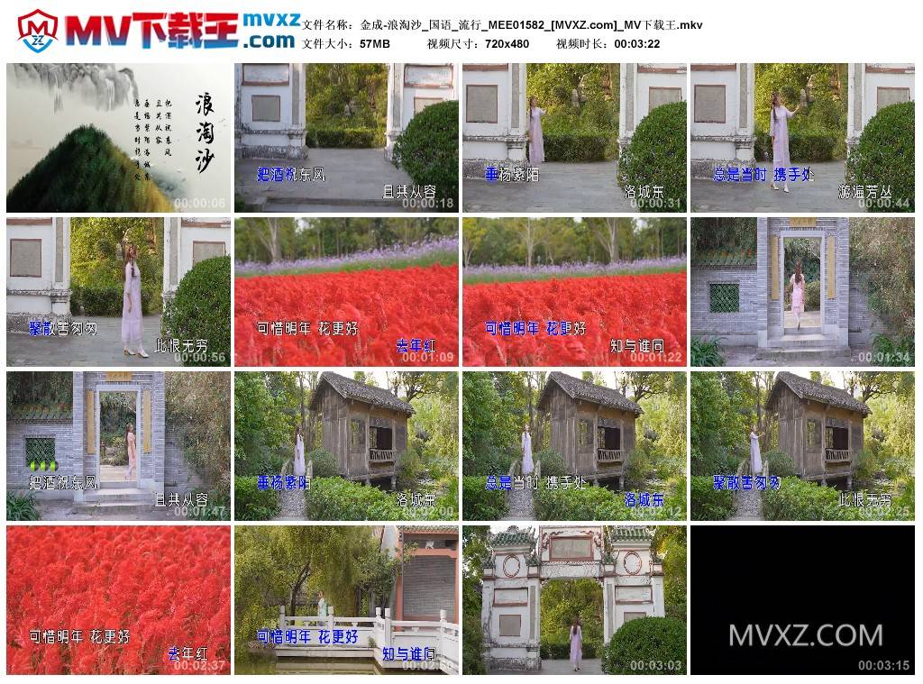 金成-浪淘沙_国语_流行_MEE01582